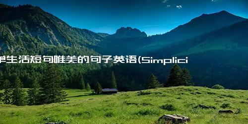 简单生活短句唯美的句子英语(Simplicity in Life Expressed in Beautiful Short Sentences A Rewrite)